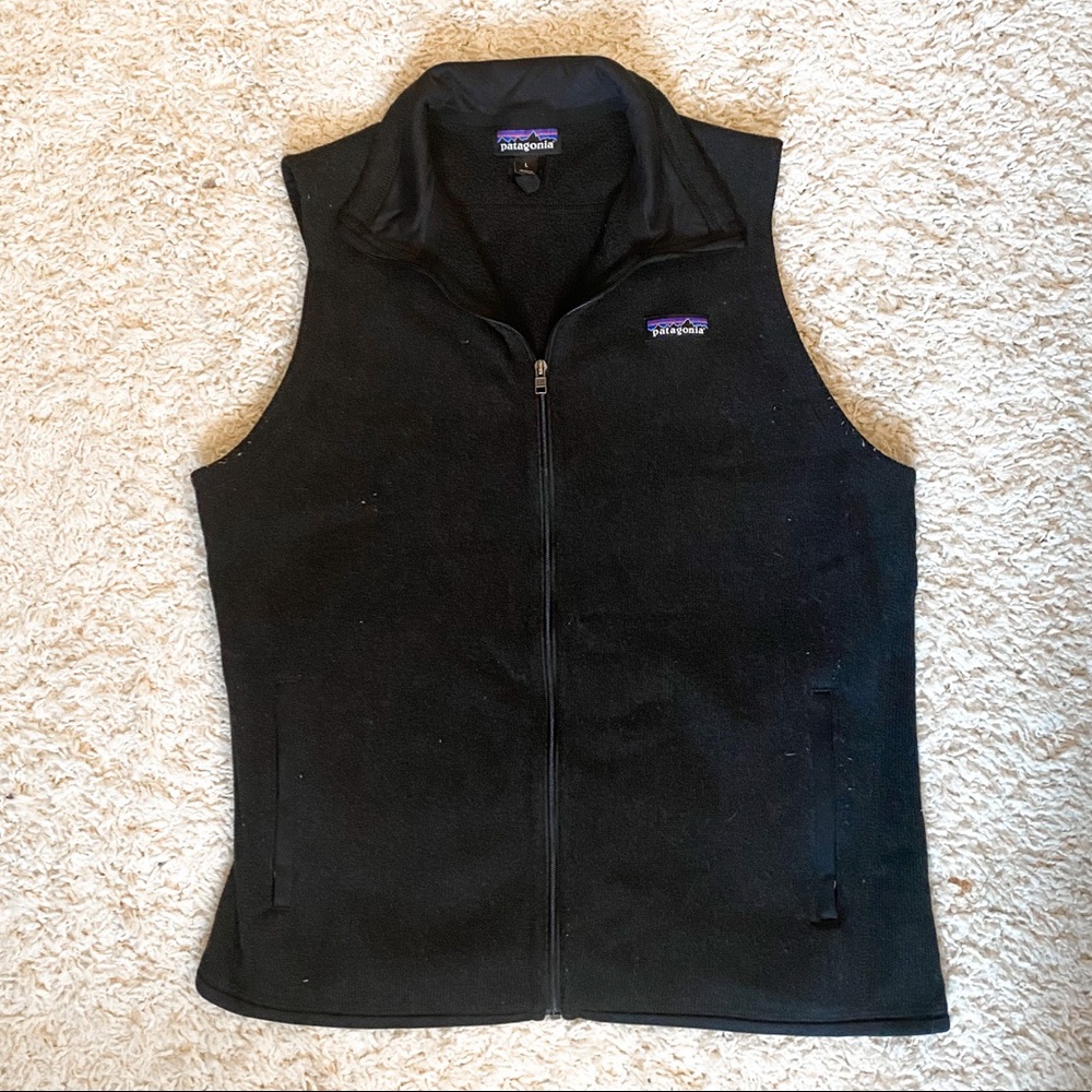 Brand new Patagonia vest